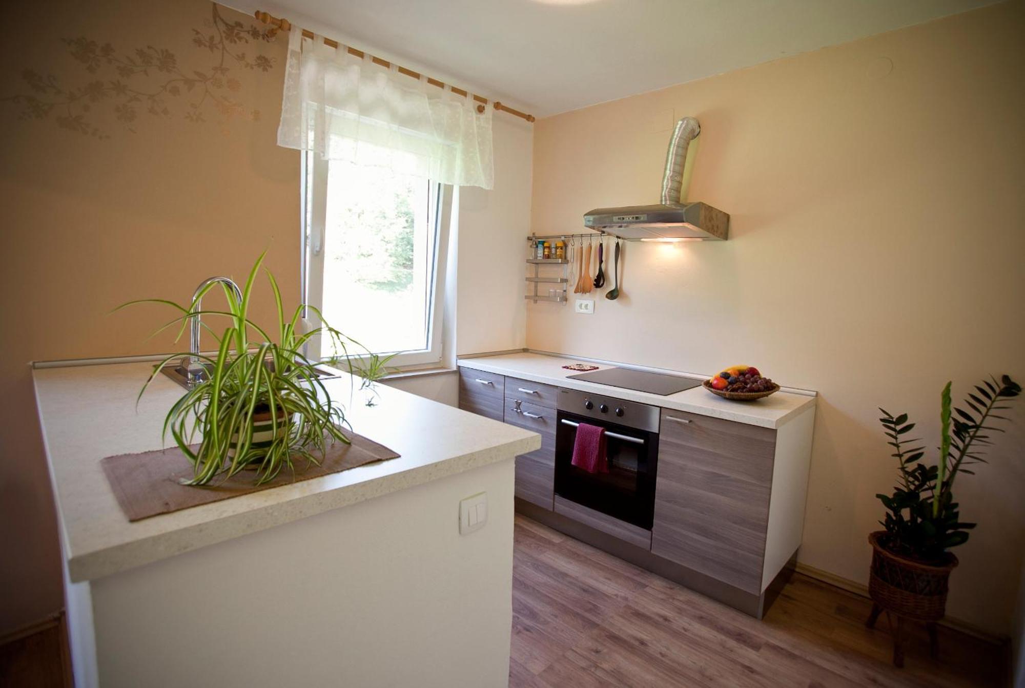 Apartments Soca Kobarid Zewnętrze zdjęcie